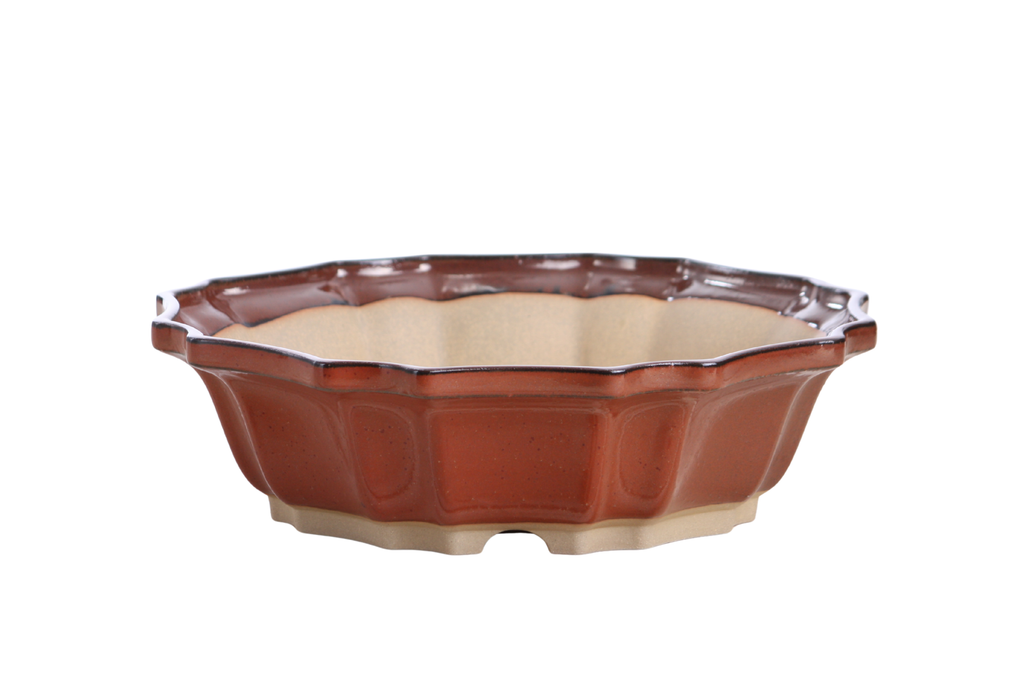 Willow Bonsai Ceramics Flower Design Bonsai Pot 10 Inch – Elegant Ceramic Bonsai & Succulent Planter, High‑Fired Frost‑Proof Stoneware with Drainage & Wiring Holes, Handmade in USA (Sunset)