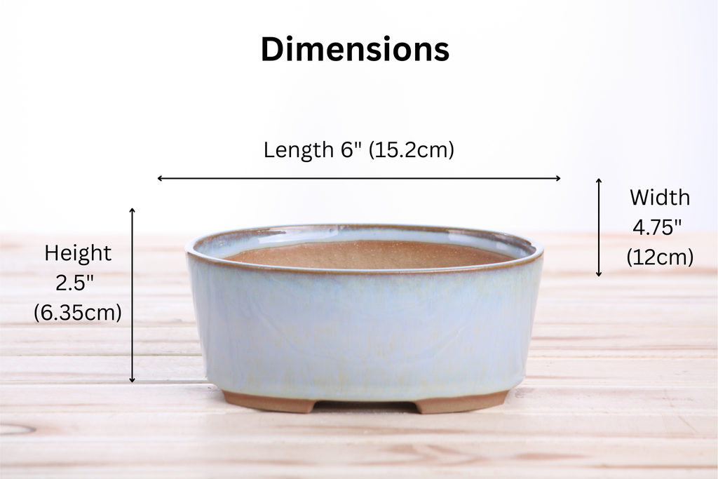 Willow Bonsai Ceramics Oval A Bonsai Pot 6 Inch – Straight‑Sided Oval Ceramic Bonsai & Succulent Planter, High‑Fired Frost‑Proof Stoneware with Drainage & Wiring Holes, Handmade in USA (Glacier)